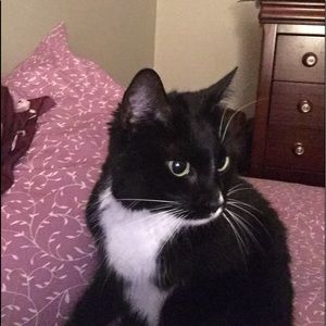 Meet your Posher, Kimberly